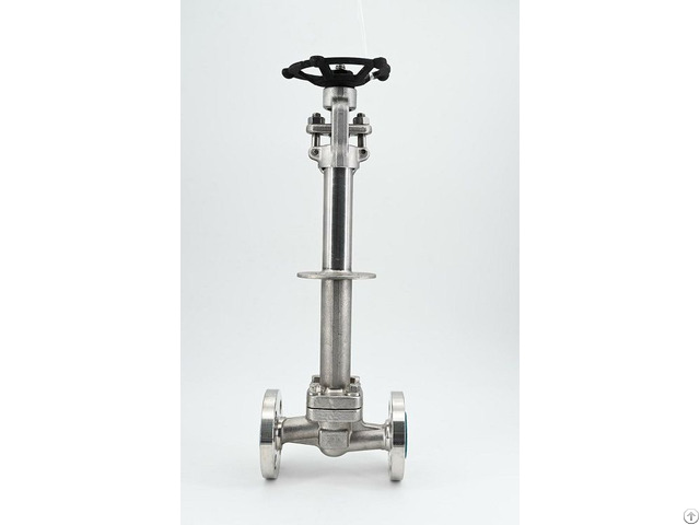 Cryogenic Extended Stem Globe Valve