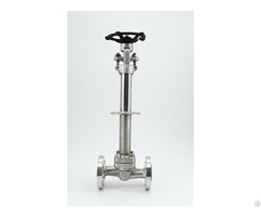 Cryogenic Extended Stem Globe Valve