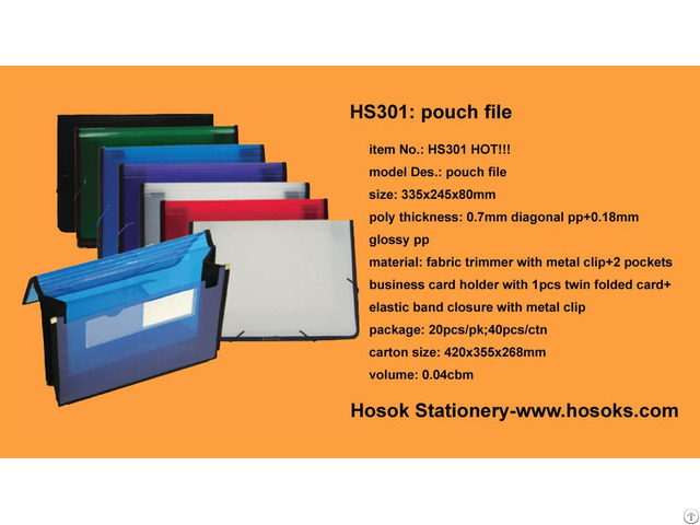 Hs301 Pouch File