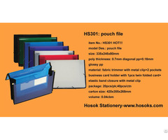 Hs301 Pouch File