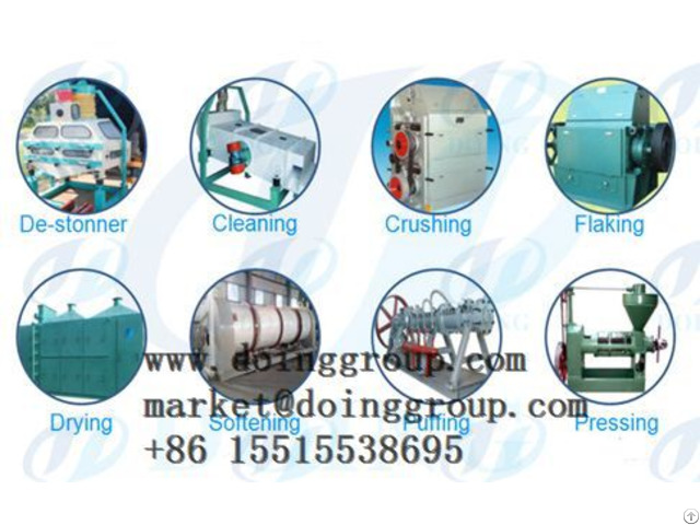 Sunflower Oil Press Equipment