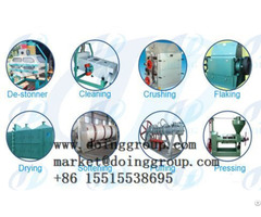 Sunflower Oil Press Equipment