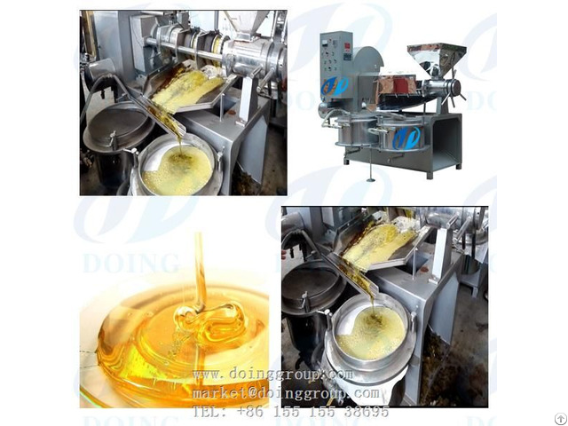 High Quality Low Price Groundnut Oil Press Machine