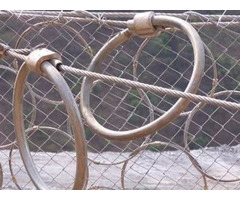 Steel Wire Ring Net