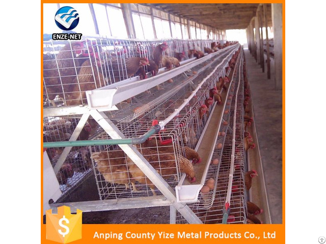 Layer Chicken Cage Poultry Farm For Sri Lanka