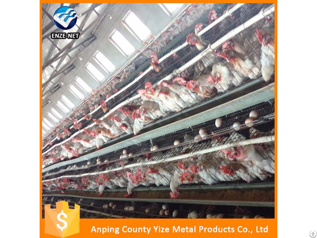 Cheap Price Made In China 3 Tier 120 Capacity Chicken Layer Egg For Poultry