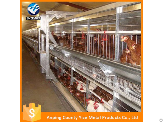 Commercial Plastic Poultry Used Chicken Cage For Sale