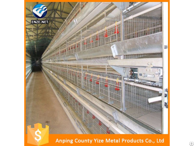 Battery Broiler Chicken Cage For Sale