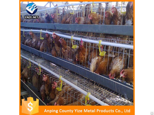 Types Of Layer Chicken Cages For Zimbabwe Poultry Farm