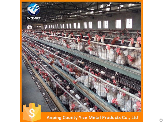 Chicken Feeding System H Type Battery Cage For Layers