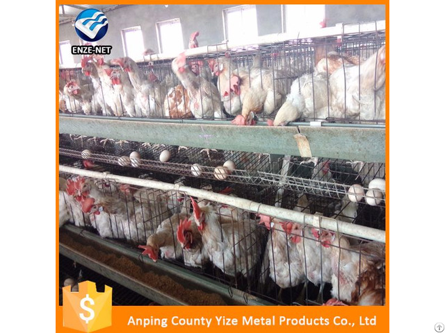 Poultry Uganda Layer Farm Chicken Cage For Sale