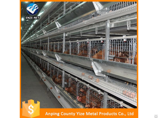 Automatic Chicken Layer Cage For Sale In Philippines