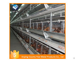 Automatic Chicken Layer Cage For Sale In Philippines