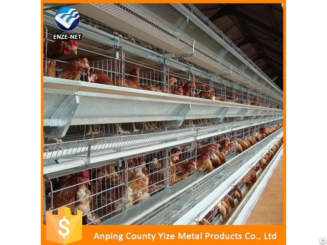 Hebei High Quality Type A Chicken Cage System