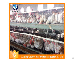 Automatic Poultry Farming System For Chickens Layer Cages With Capacity Of 340 Birds Per Cage