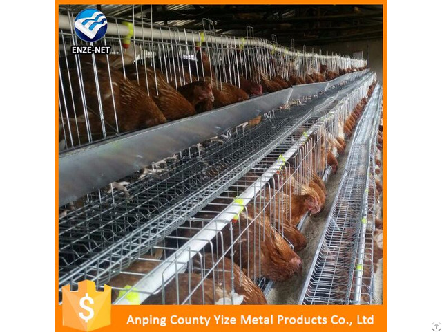 Automatic Poultry Layer Cages Systems Chicken Feeder For Egg Layers