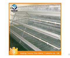 Wholesale Chicken Supplies Wire For Bird Cage