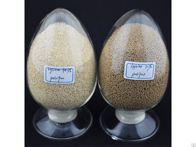 L Lysine Feed Grade