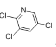 Trichloropyridine 