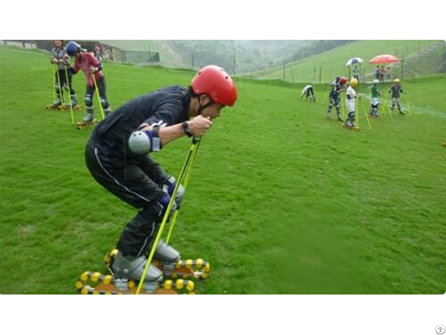 Grass Skiing Cart Equipment Mountain Outdoor Amusement Slide System