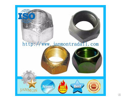 Automotive Tire Nut Auto Tyre Nuts