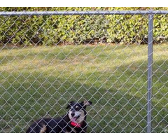 Gbw Chain Link Fence Fabric