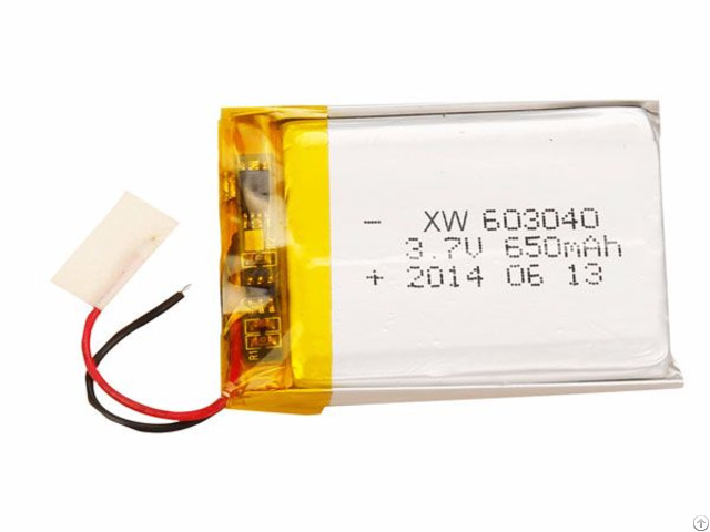 Lithium Polymer Battery