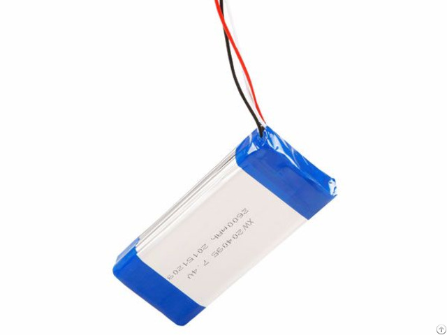 Lithium Ion Battery