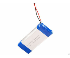 Lithium Ion Battery