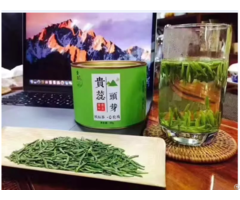 High Quality Fresh New Spring Tea No Pesticides Residue Pass Eurofins Test