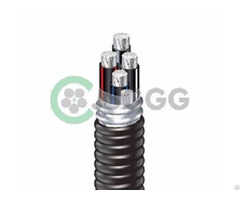 Aluminum Alloy Cable Yjlhvs2