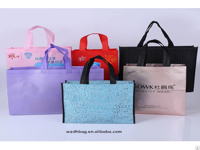 Non Woven Bag