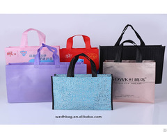 Non Woven Bag