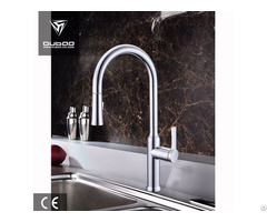 Pull Out Kitchen Faucet