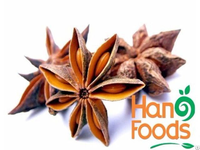 Dried Star Anise Flower From Vietnam