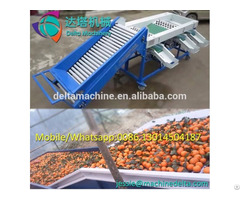 Fruit Sorting Machine