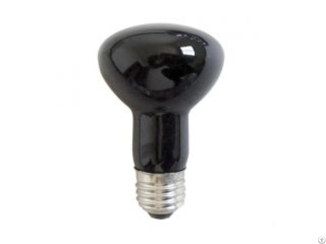 Black Light Bulb R80 R25