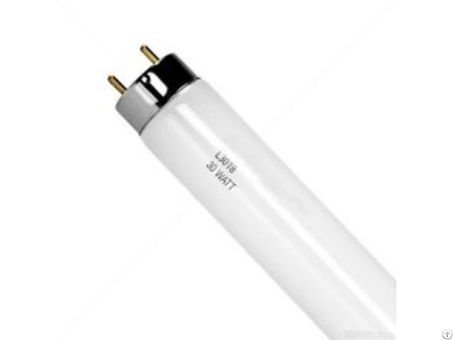 T8 Fluorescent Tube Lamp