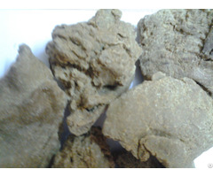 100 Percent Natural Moringa Seed Oil Cake Suppliers