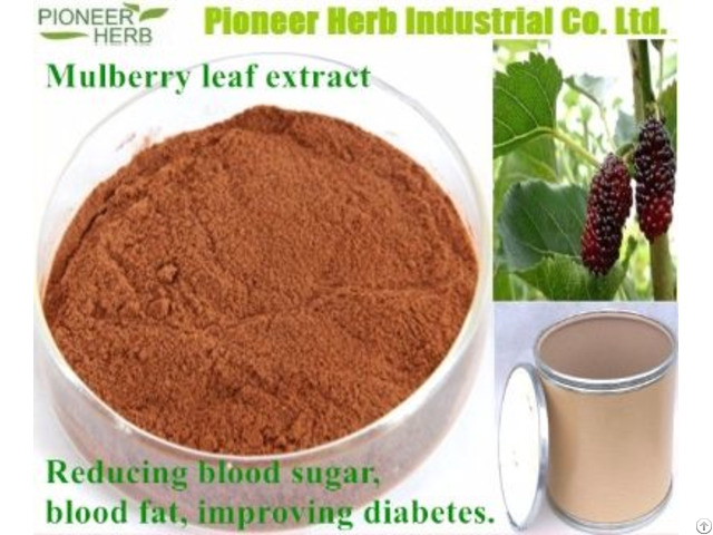 Deoxynojirimycin Mulberry Leaf Extract Dnj
