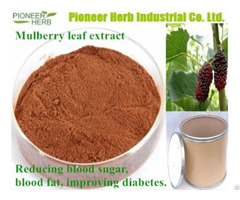 Deoxynojirimycin Mulberry Leaf Extract Dnj