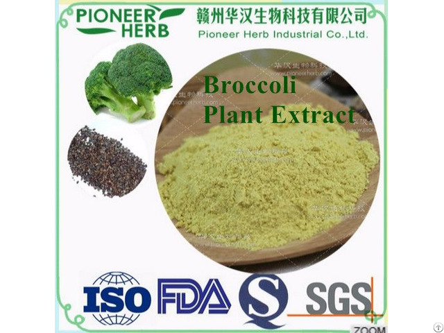 Glucoraphanin Broccoli Seed Extract