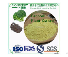 Sulforaphane Glucosinolates Broccoli Seed Extract