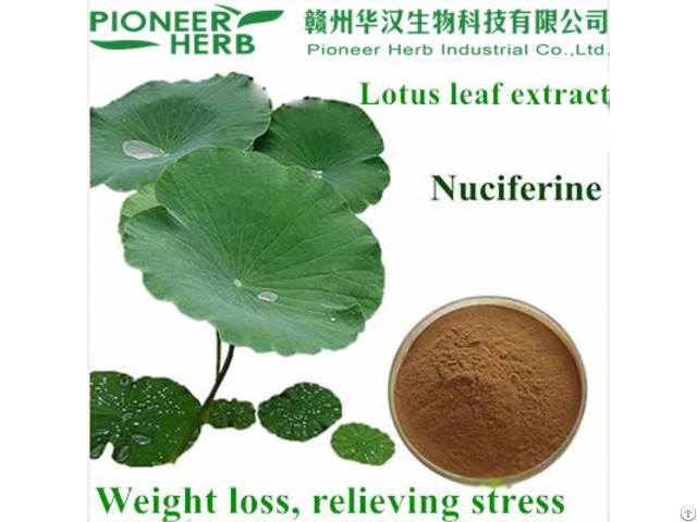 Lotus Leaf Extract Nuciferine
