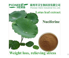 Lotus Leaf Extract Nuciferine
