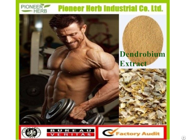 Dendrobium Polysaccharides Candidum Extract