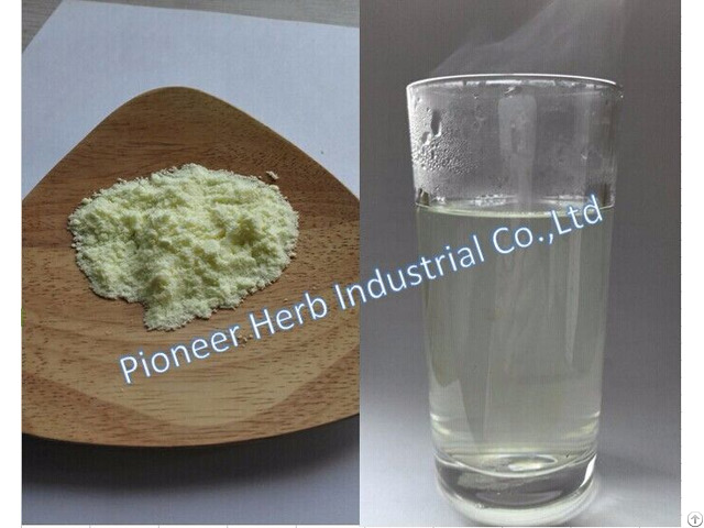 Instant Honeysuckle Extract Powder