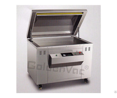 Automatic Vacuum Packing Machine Dz 800q