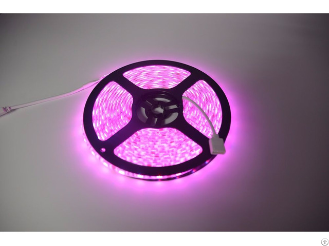 Flexible Wifi Rgb Led Strip Grow Lights With Remote Control Power Adapter