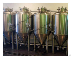 200l 100l 50l 20l Brewing System